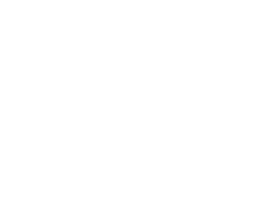 Millennial Homes