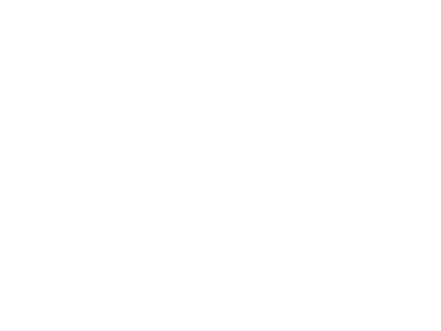 Viktory Homes